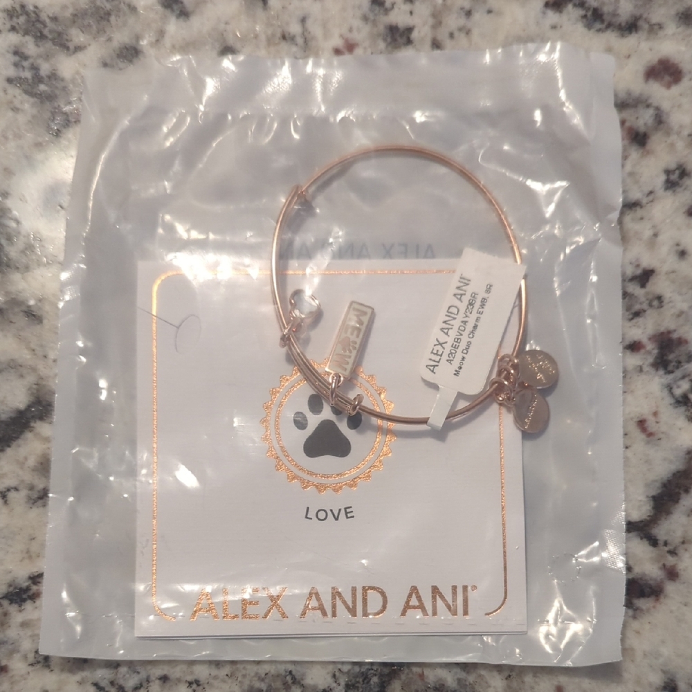 Alex and Ani Gold Love Charm Bangle
